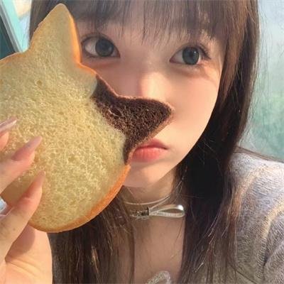 北极大冒险